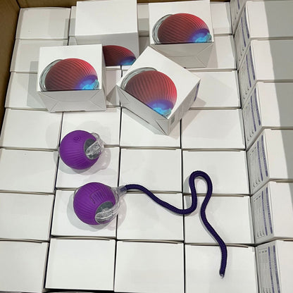 Smart Rolling Ball Self-Entertainment Interactive Pet Toy