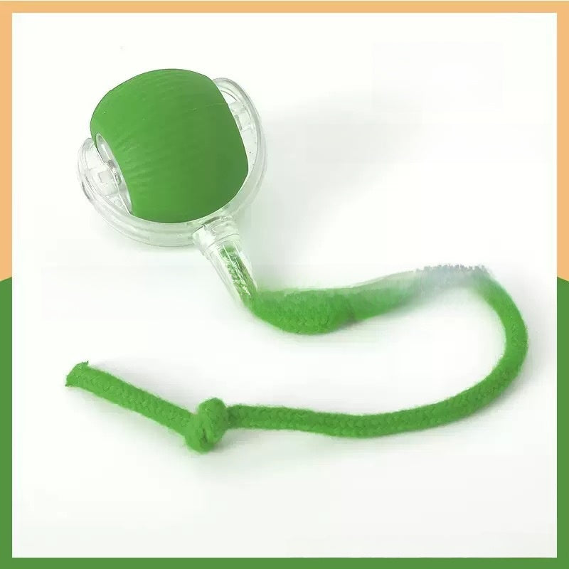 Smart Rolling Ball Self-Entertainment Interactive Pet Toy