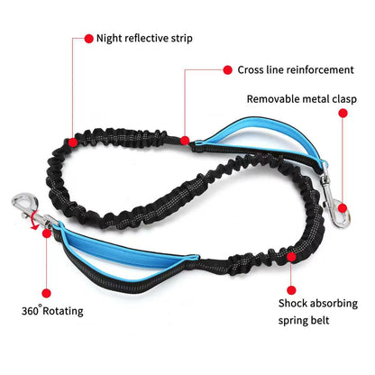Multi-Function Outdoor Pet Training Waist Bag