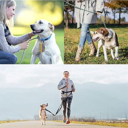 Pet Waste Bag Leash Dispenser