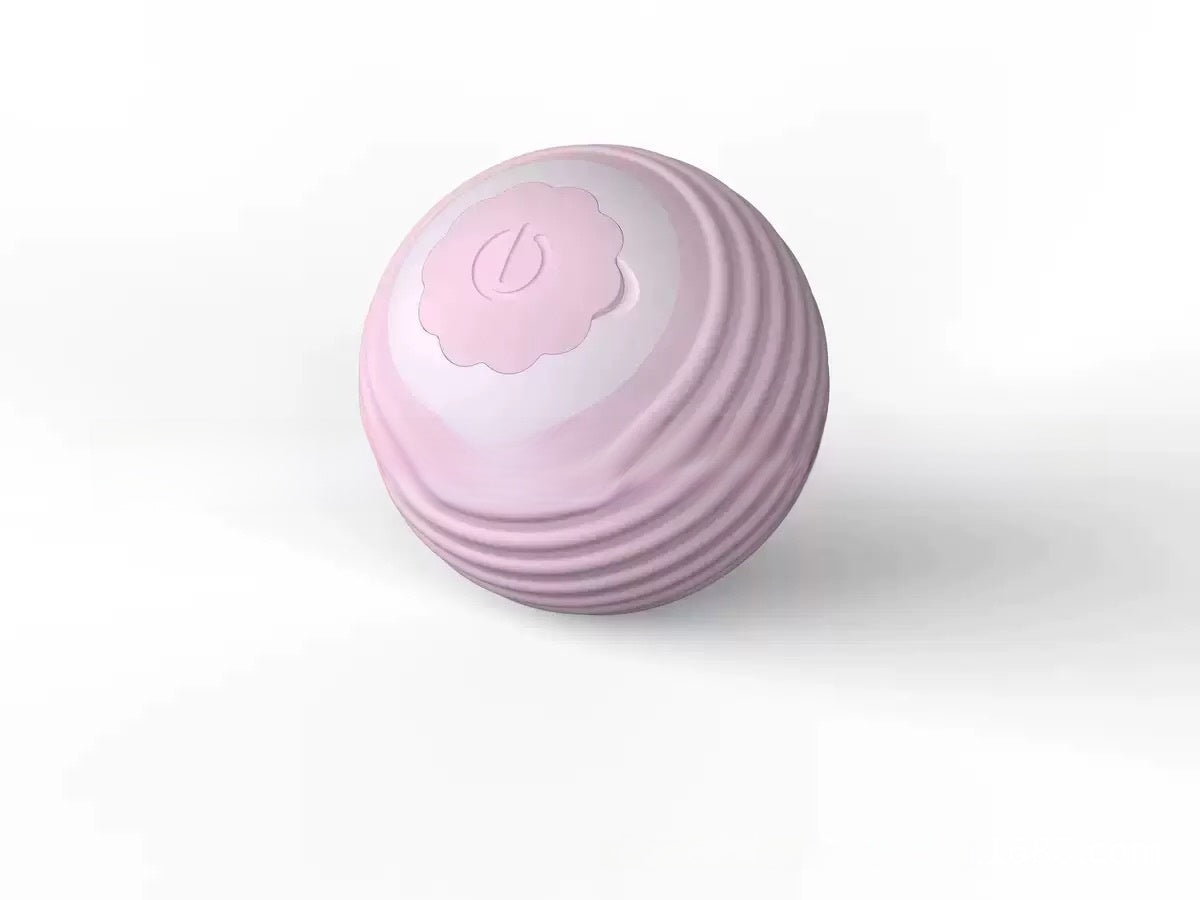 Smart Rolling Ball Self-Entertainment Interactive Pet Toy