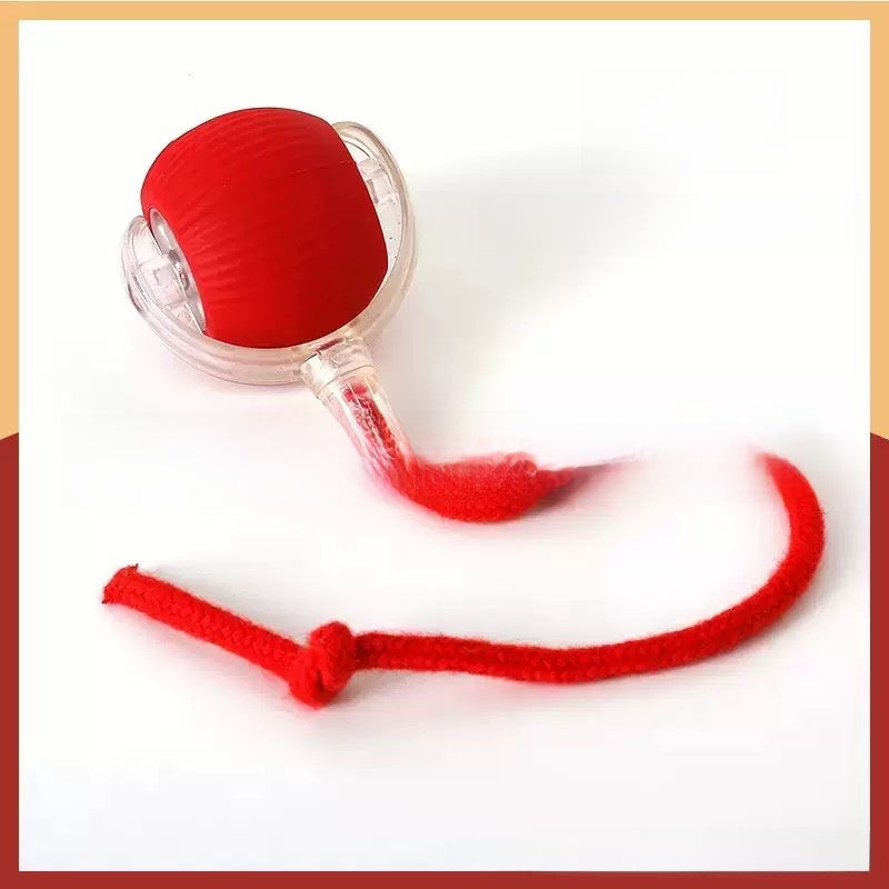 Smart Rolling Ball Self-Entertainment Interactive Pet Toy