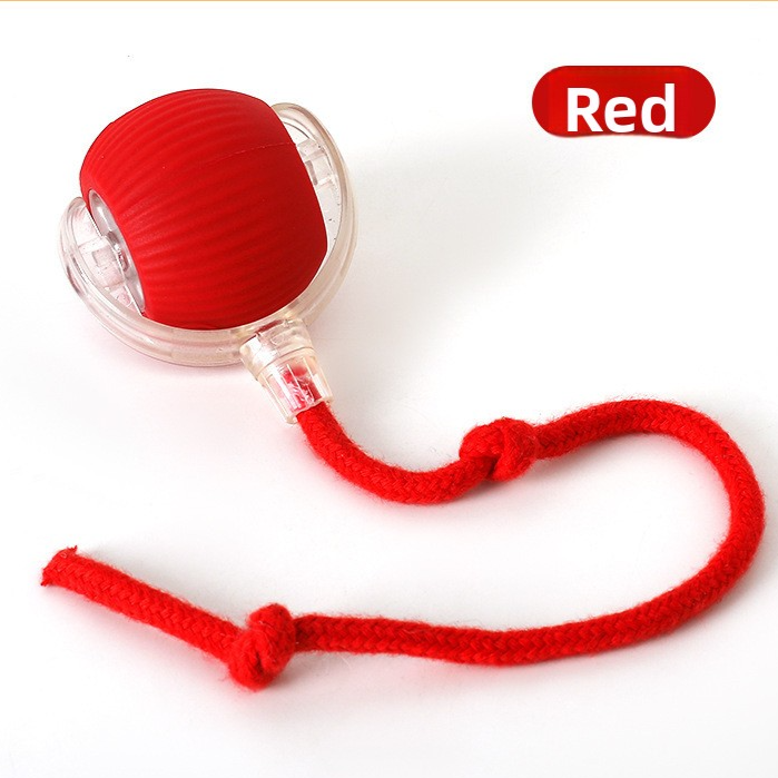 Smart Rolling Ball Self-Entertainment Interactive Pet Toy