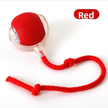 Smart Rolling Ball Self-Entertainment Interactive Pet Toy