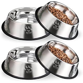 Pet food bowl