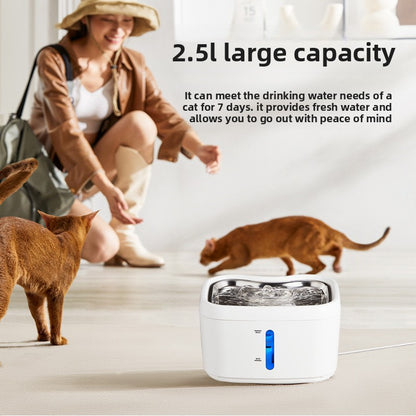 Smart Pet Water Dispenser Automatic Circulating Filtration Purification Water Feeder for Dogs and Cats
